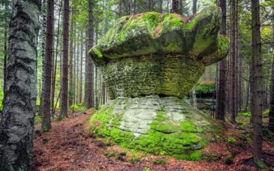 Polskie parki narodowe: Przewodnik po najcenniejszych skarbach przyrody